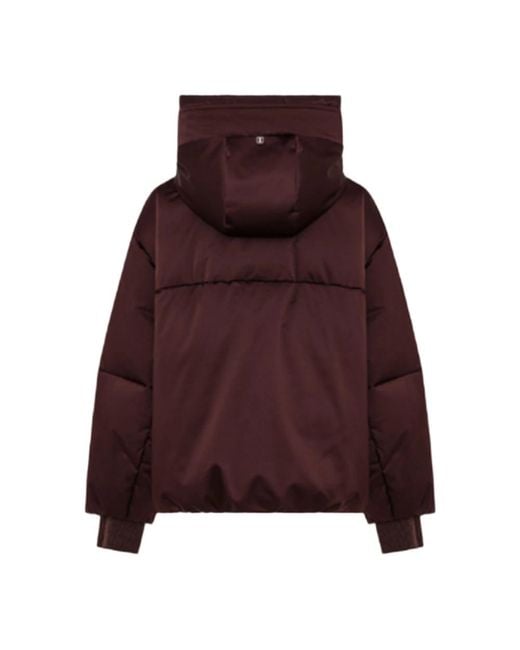 Winter Jackets DUNO de color Purple