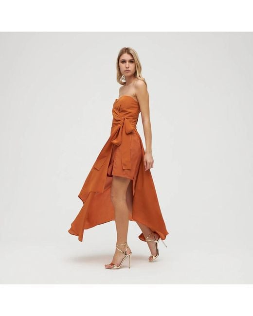 FEDERICA TOSI Brown Gowns