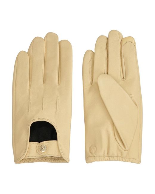 Gloves Kazar de color Metallic