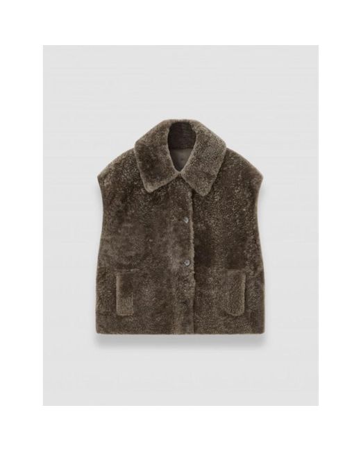 Vests Joseph en coloris Brown