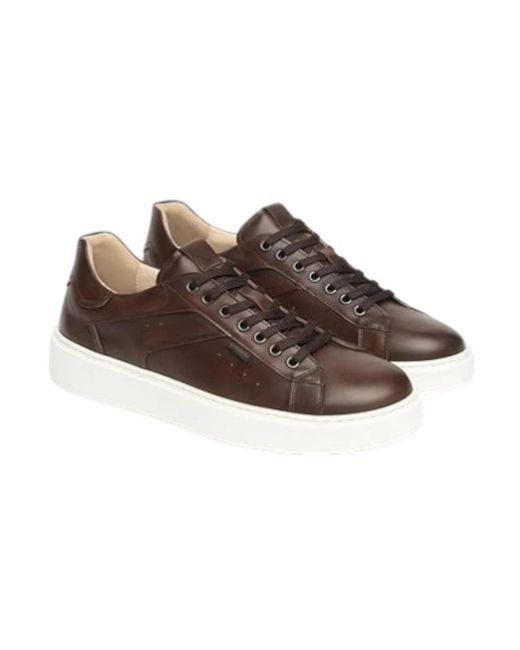 Nero Giardini Brown Sneakers for men