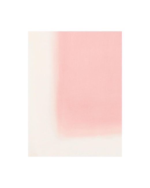 D'Aniello Pink Scarves