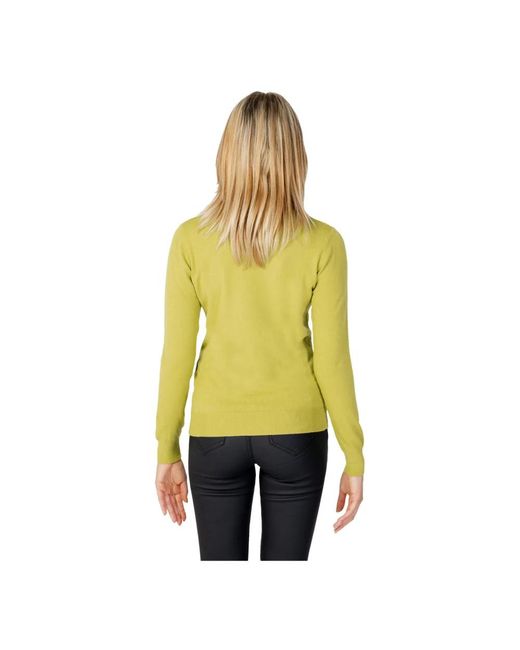 Sandro Ferrone Truien & Vesten ,Groen ,Nylon Groene Turtleneck Truien in het Yellow