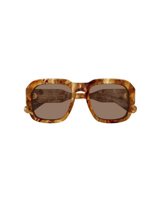 Chloé Brown Sunglasses