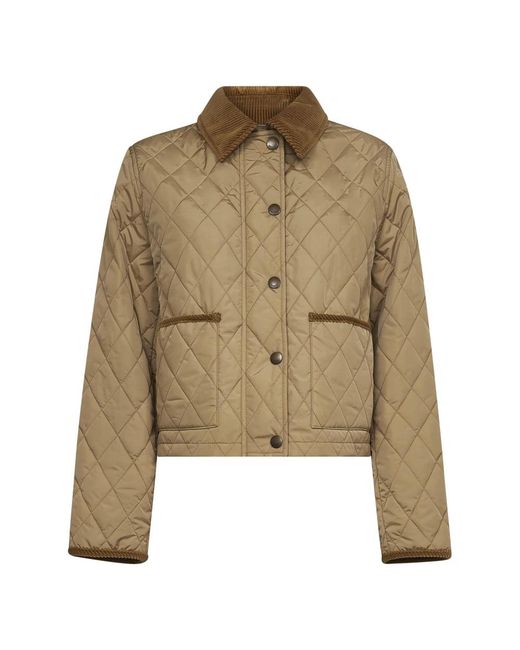Burberry Green Light Jackets