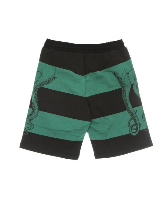 Octopus Green Casual Shorts for men