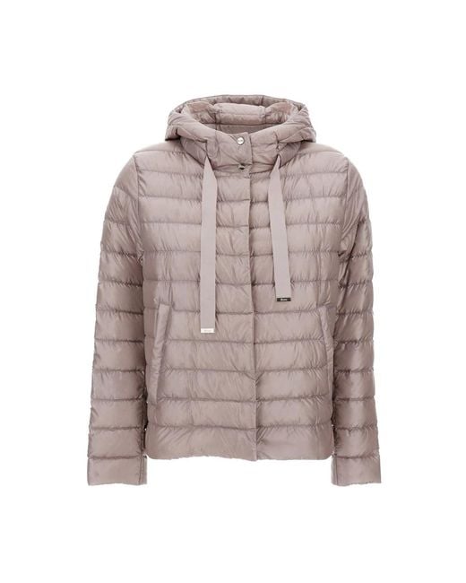 Down Jackets Herno en coloris Gray