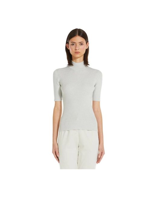 Max Mara Turtlenecks in het Gray