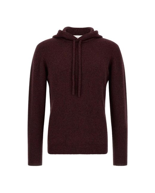 Roberto Collina Kapuzenpullover in Purple für Herren