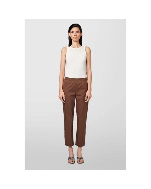 Straight Trousers Alpha Studio de color Brown