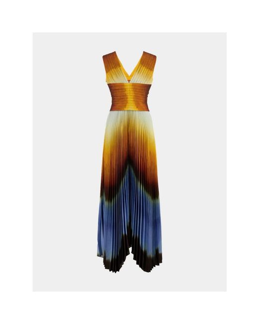 Altuzarra Blue Maxi Dresses