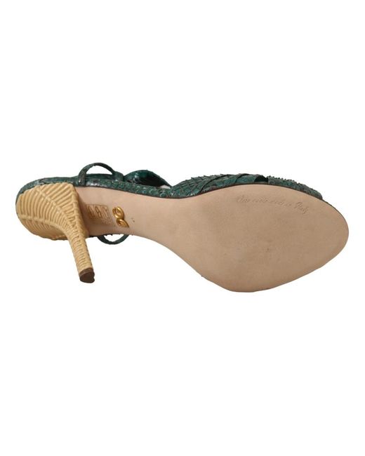 Dolce & Gabbana Green Python strappy sandals heels grün/beige