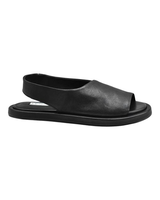 Shoes > sandals > flat sandals Ernesto Dolani en coloris Black