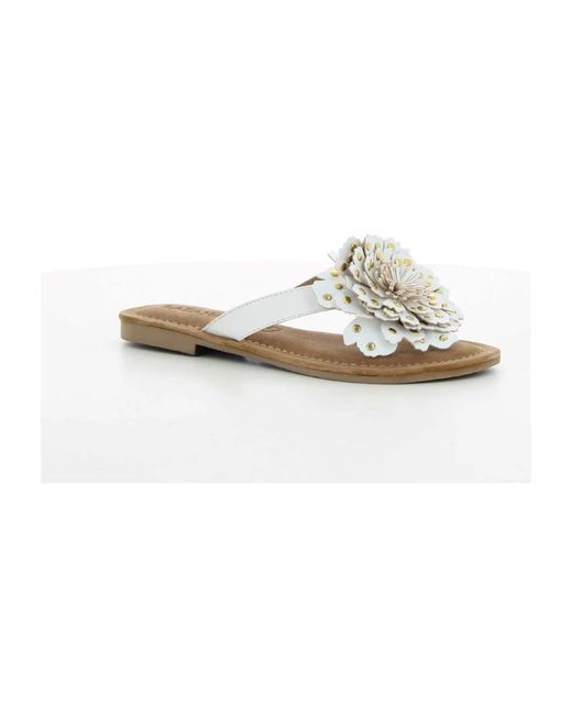 Flip Flops Lazamani en coloris Brown