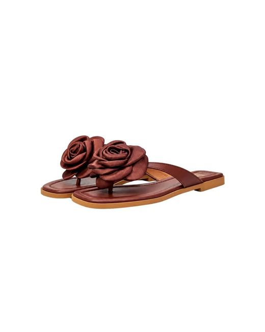 Flip Flops Ovyè en coloris Brown