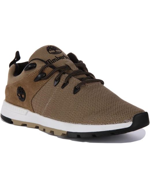 Timberland Brown Laced Shoes for men