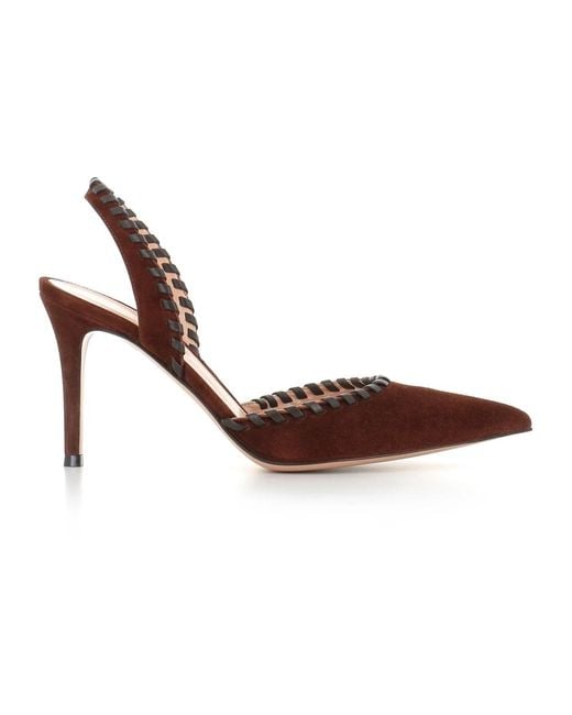 Gianvito Rossi Brown Pumps