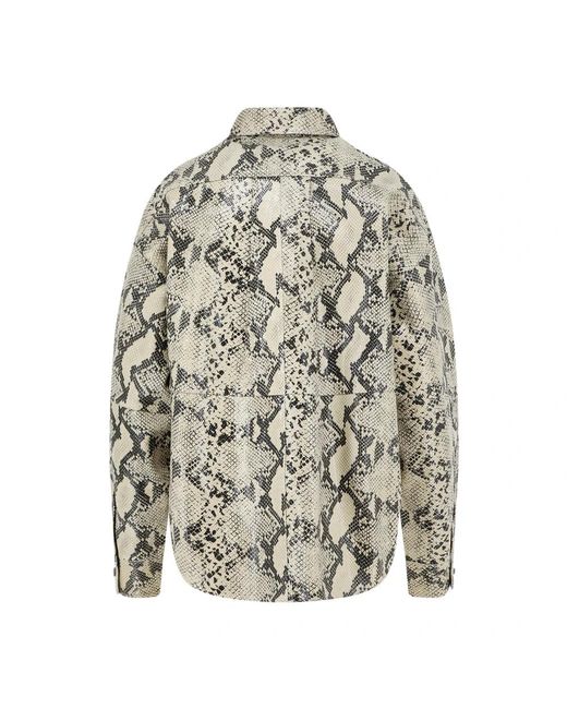 Shirts Alysi de color Gray