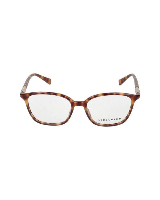 Longchamp Brown Glasses