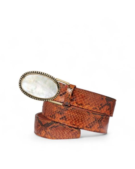 Claris Virot Brown Belts