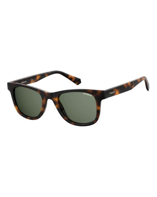 Polaroid Brown Sunglasses for men