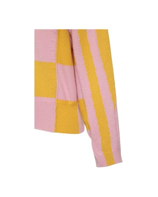 Stella McCartney V-Neck Gestreepte Pullover in het Pink