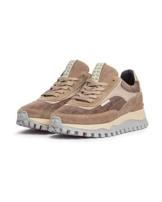 van Bommel Brown Sneakers