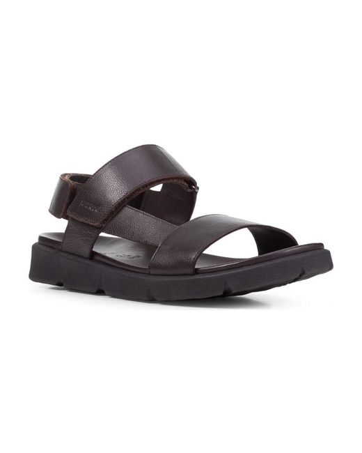 Geox Brown Flat Sandals for men