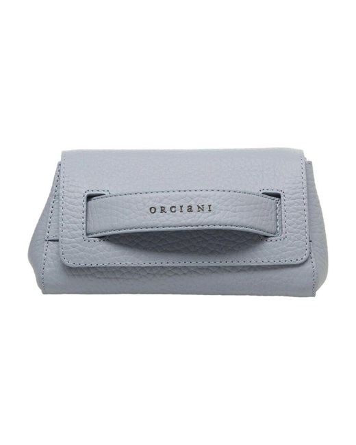 Orciani Gray Blaue leder clutch handtasche