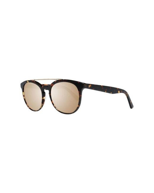WEB EYEWEAR Brown Sunglasses