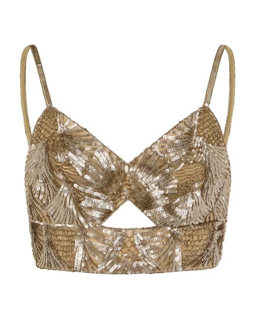 Alberta Ferretti Brown Sleeveless Tops