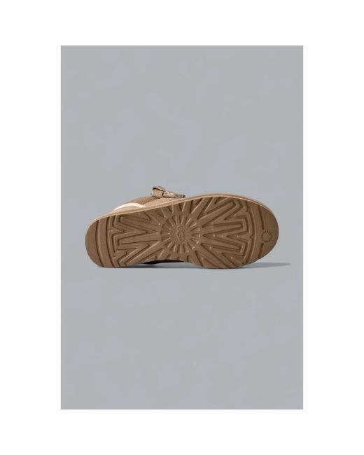 Sneakers di Ugg in Brown