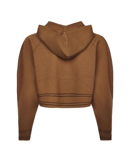 Max Mara Brown Hoodies