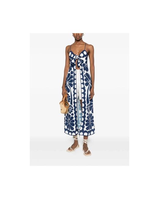 Farm Rio Blue Dress