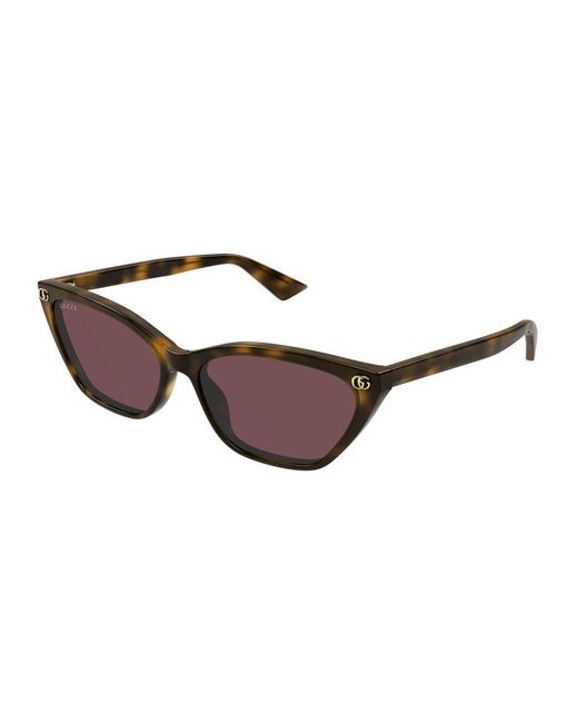 Gucci Brown Sunglasses