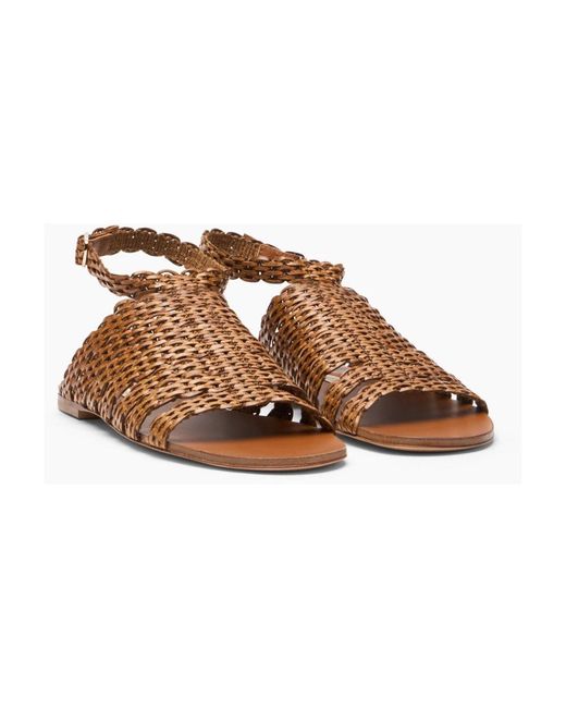 Casadei Brown Avenida Flat Sandal