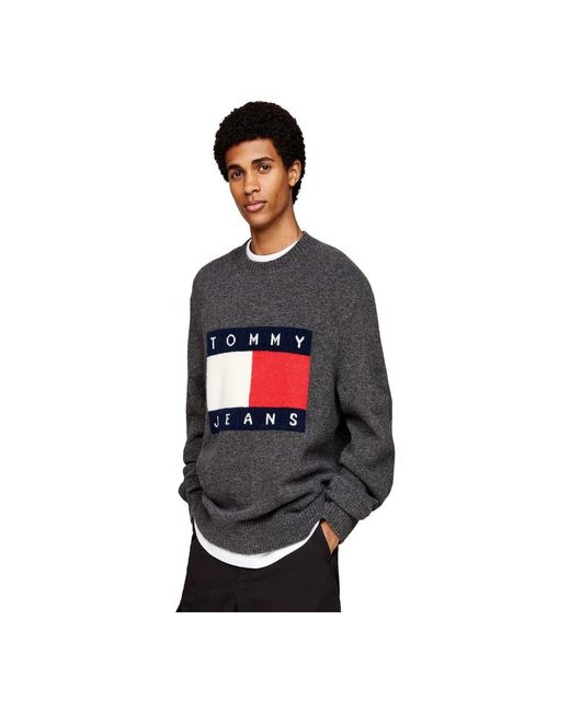 Tommy Hilfiger Gray Round-Neck Knitwear for men