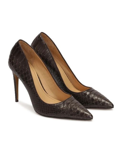 Kazar Pumps in het Brown
