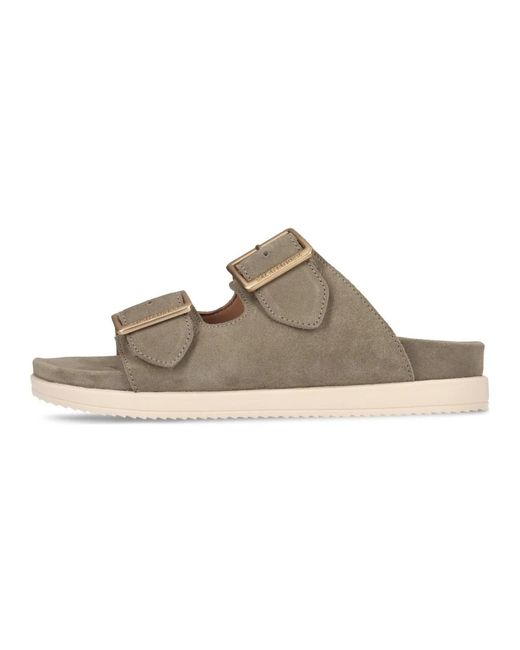 Sliders Salamander de color Brown