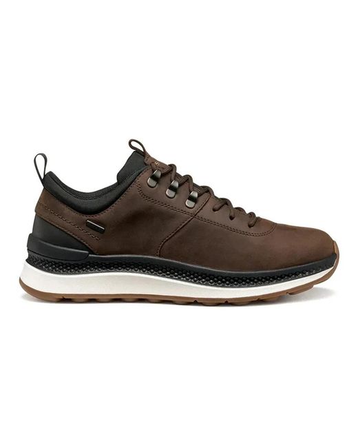 Geox Brown Sneakers for men