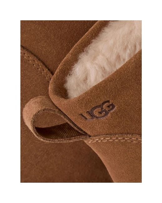 Winter Boots Ugg en coloris Brown