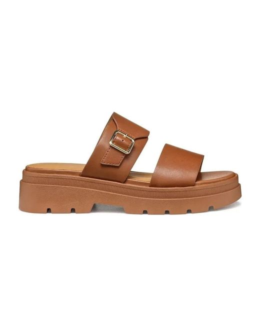Geox Brown Adacter S Slider