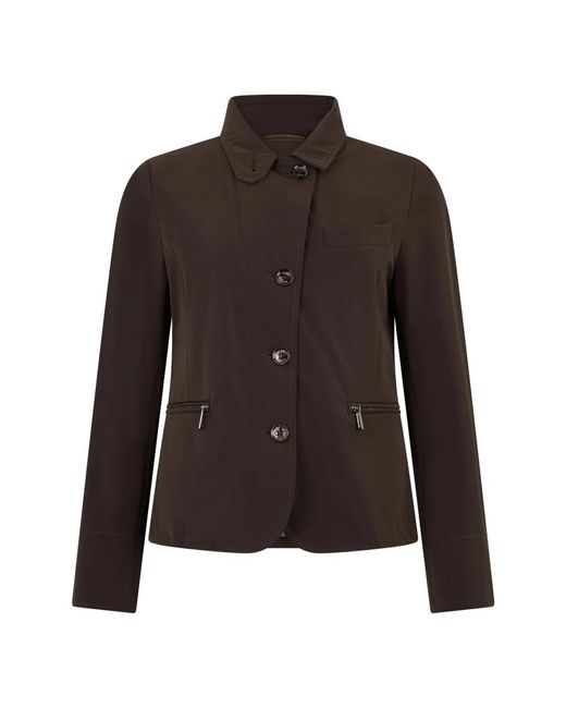 Moorer Brown Blazers