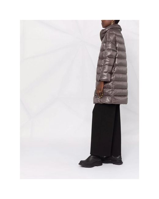 Herno Jackets > Down Jackets in het Gray