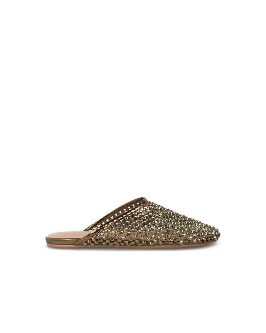 Alma En Pena. Brown Mules