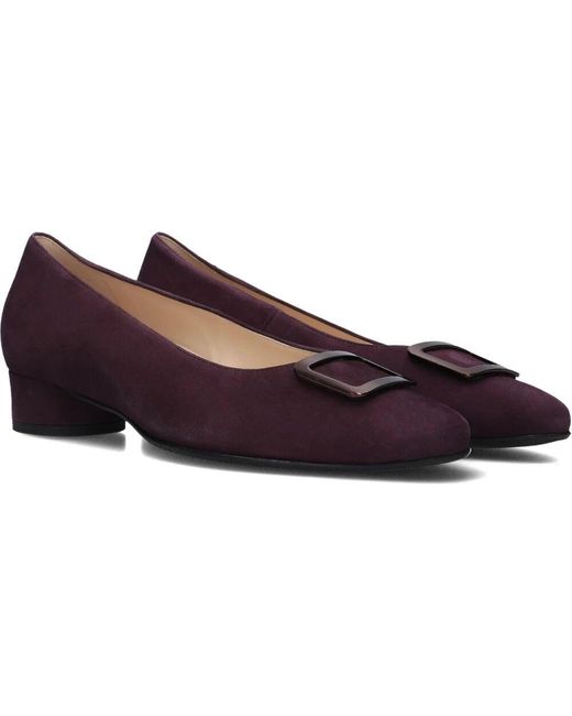 HASSIA Brown Lila Wildleder Slip-On Absätze