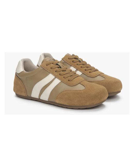ESTRO Brown Sneakers