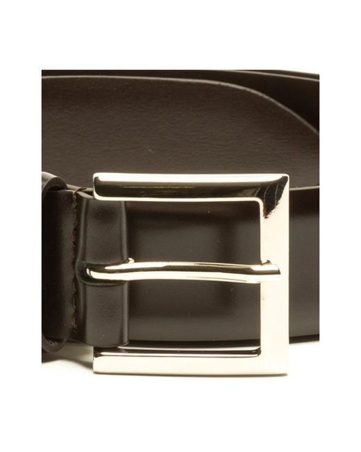 Orciani Brown Belts for men