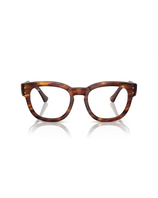 Ray-Ban Brown Glasses