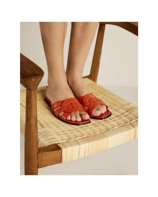 Summum Brown Sliders